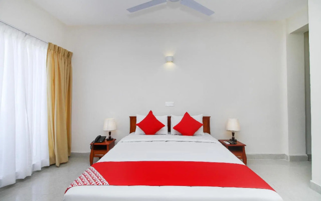 OYO 233 The Lion Pub & Hotel