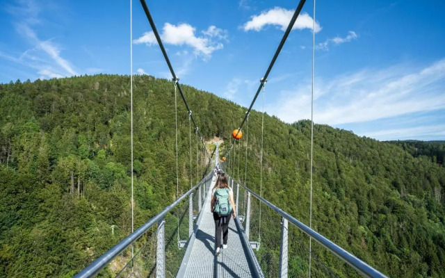 Haus Tannenberg "Ferienwohnung Heidi"