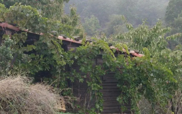 El Rincón De Los Cerezos