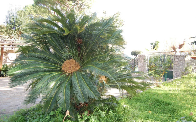 Torre Turbolo