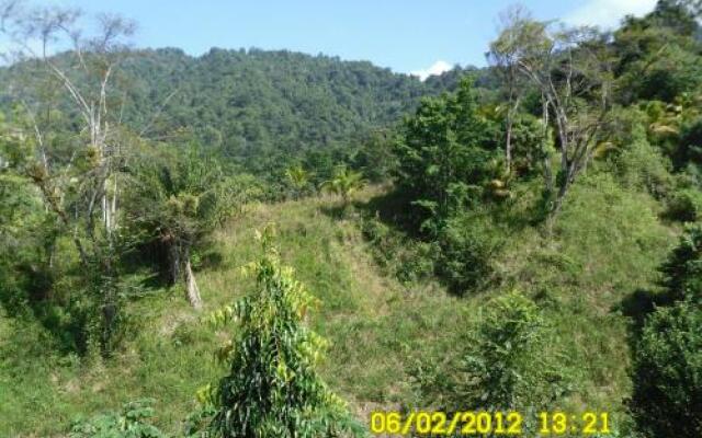 Las Cuevas Beach Lodge