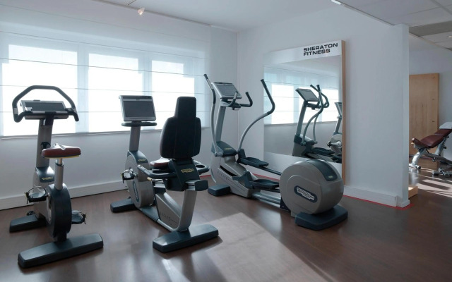 Sheraton Paris Charles de Gaulle Airport Hotel