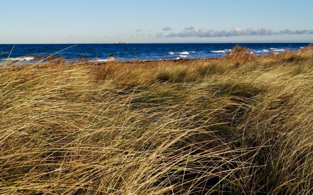 Strandleben Fehmarn - Ferienwohnung Ost