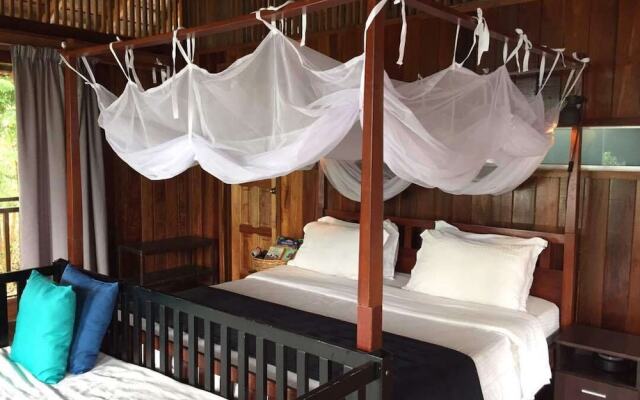 The Shorea