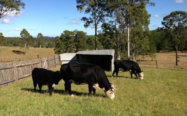 Rural Executive Holiday House @ Lavender Grove Farm