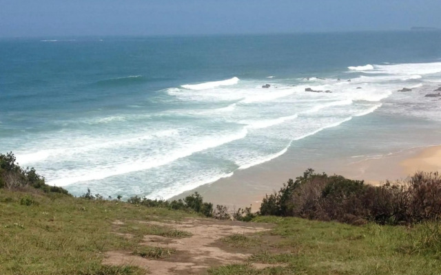 Harrys Haven Harrington