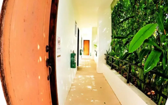 Divers Lodge Plumeria