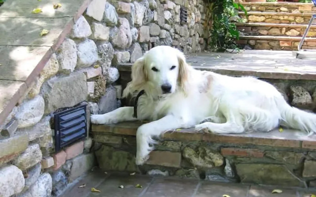 La Capanna Di Sovestro