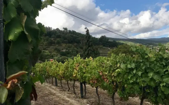 Private Douro- Quinta das Susandas
