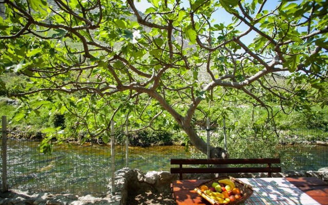 House With Large Garden, Right Next to the River