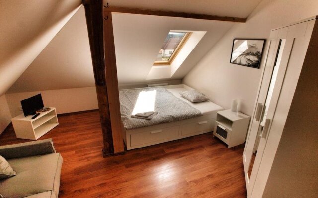 Hotel Pod Kokšínem