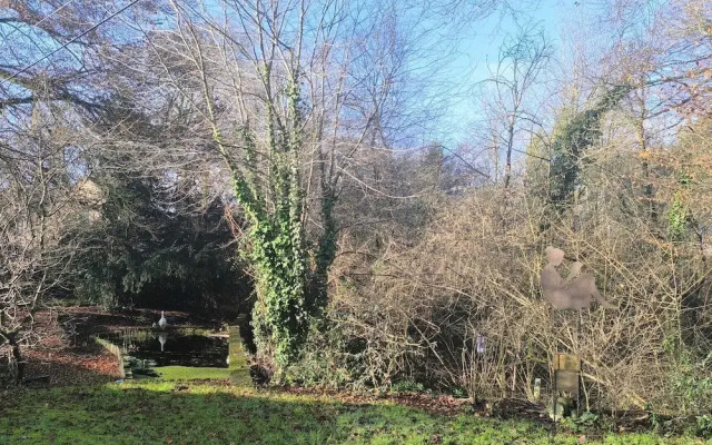 Charming Studio the Heart of the Forest