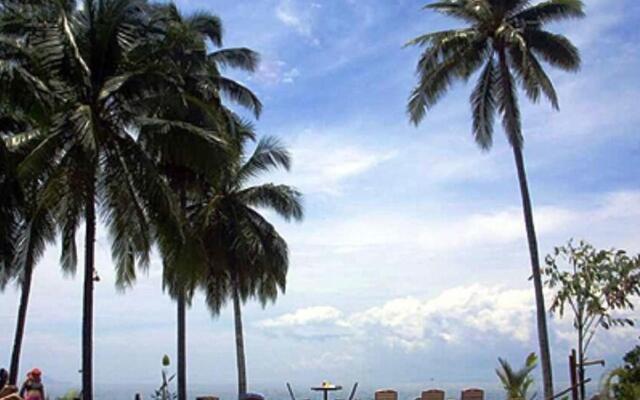 D'Coconut Lagoon
