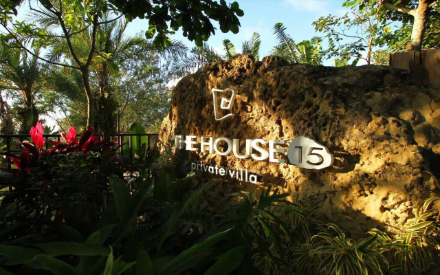 The House 15