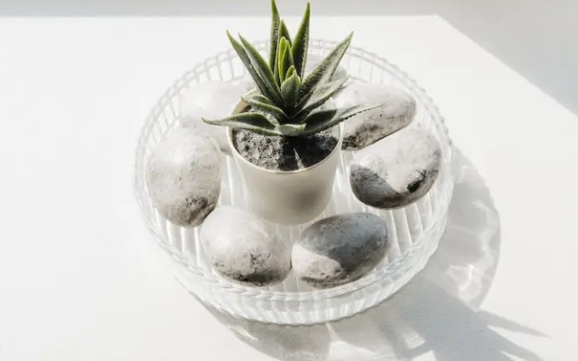 Richmond Guest House