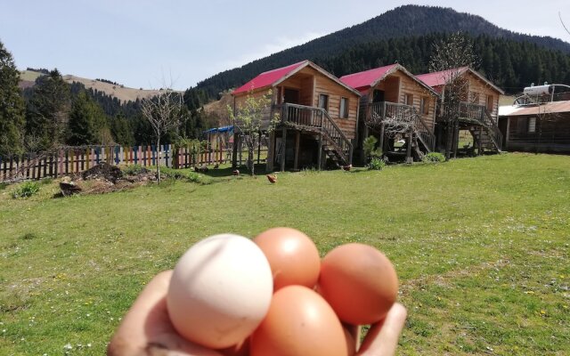 Pilav Dagi Yavuzyilmaz Tesisleri