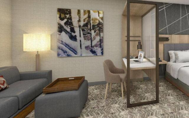 SpringHill Suites by Marriott Charlotte at Carowinds