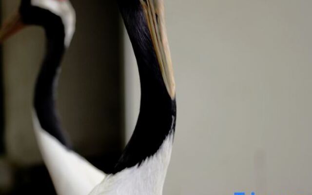 Tiantai Hot Spring Resort