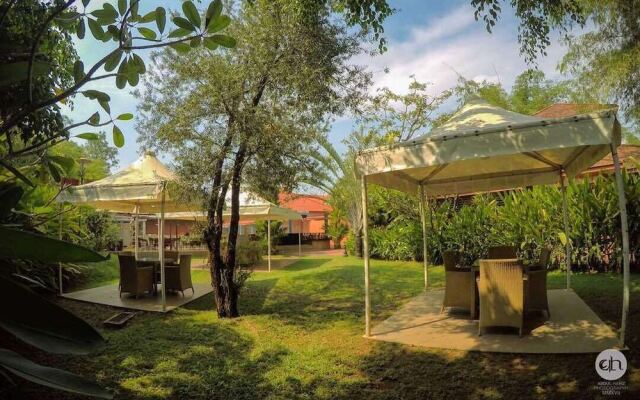 Saj Earth Resort