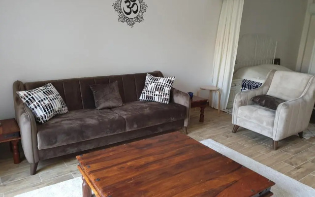 Olive apartments studio