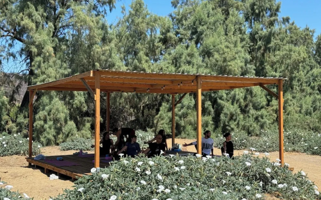 Rancho Dominique Valle de Guadalupe