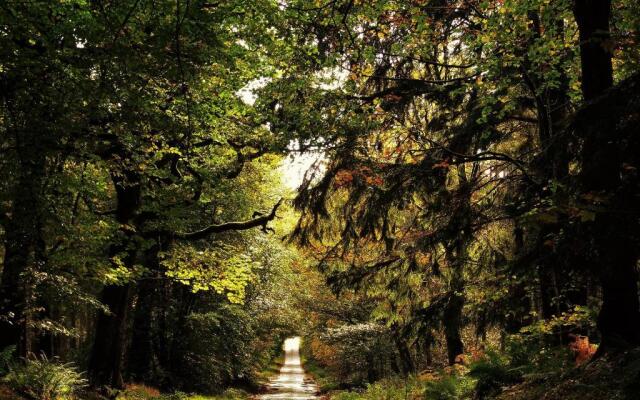 Honeybrook Crieff