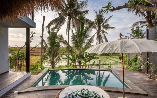 Tropical Private Villa 3 BR Canggu Ricefield view