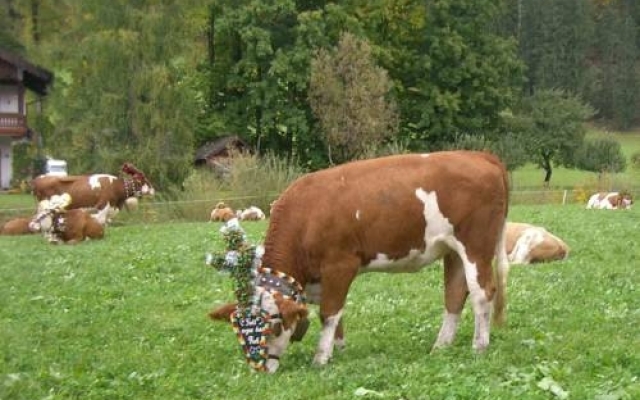 Das Zimmerbräu