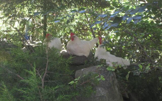 Hotel Rural Los Frutales