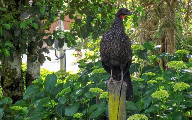 Pousada Cascata Véu de Noiva