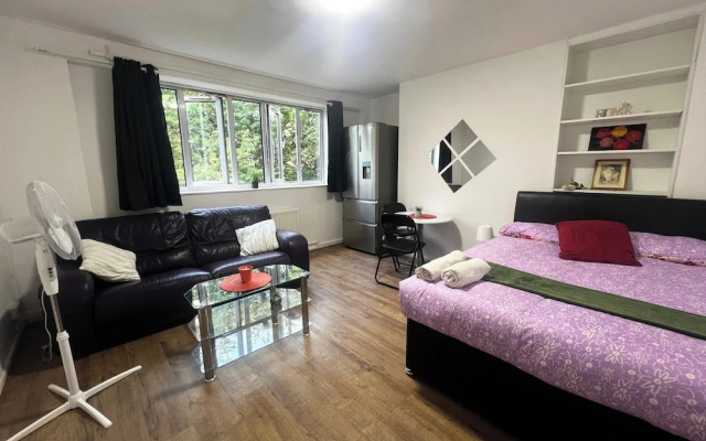 Paddington Modern Apartment With 3 Bedrooms