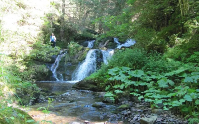 Rötenbacher Wiesen