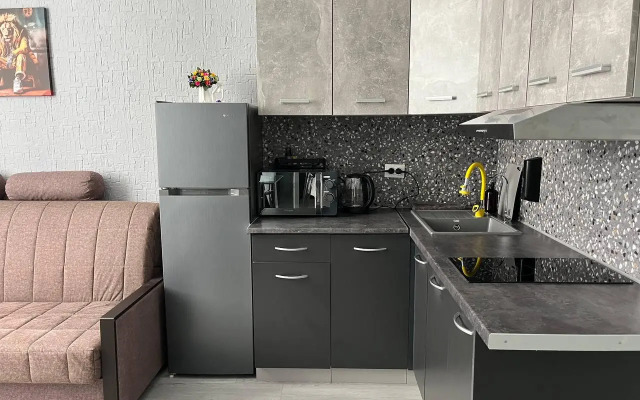 El Apart Apartment on Privokzalnaya Street 3/1