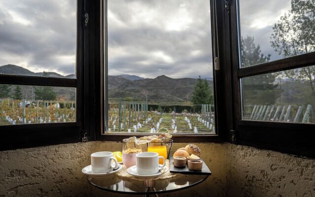 Ayres de Uco Lodge & Wine Lovers