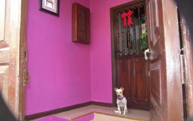 Casa LULY