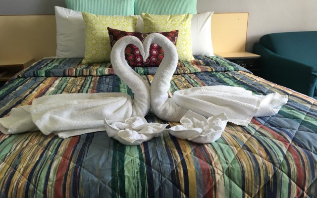 Kempsey Rose Motor Inn – Guest Rooms – South Kempsey