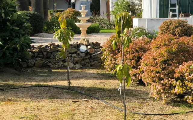 Quinta Verde Albufeira