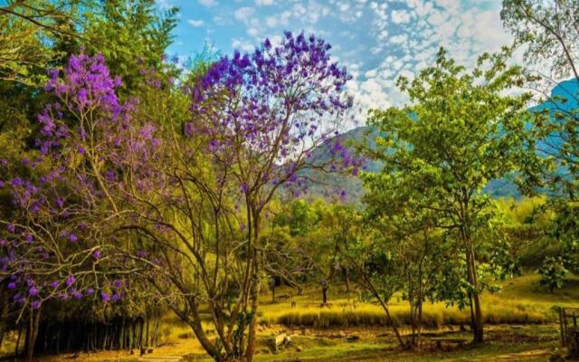Jungle Hut Resorts