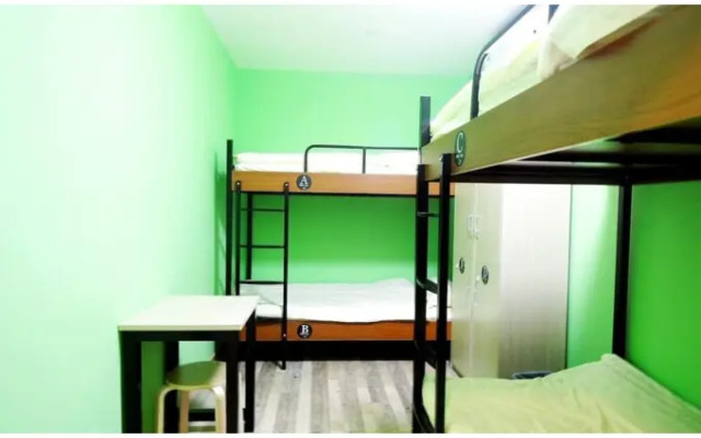 Meet Fish International Youth Hostel