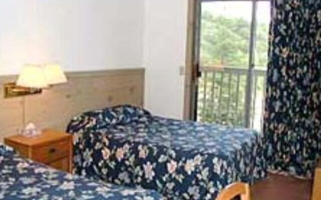 Austrian Haus Lodge