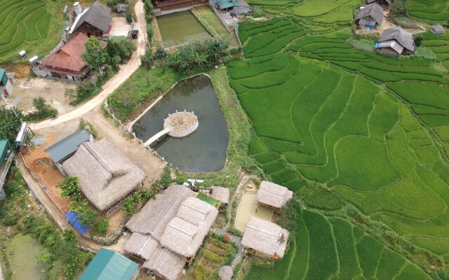 Golden Rice Garden Sapa