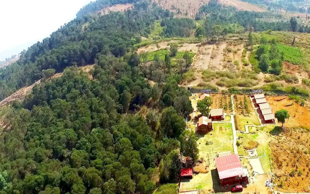 Pandora Hill Resort
