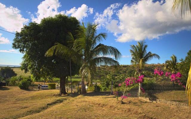 The Beehive Fiji