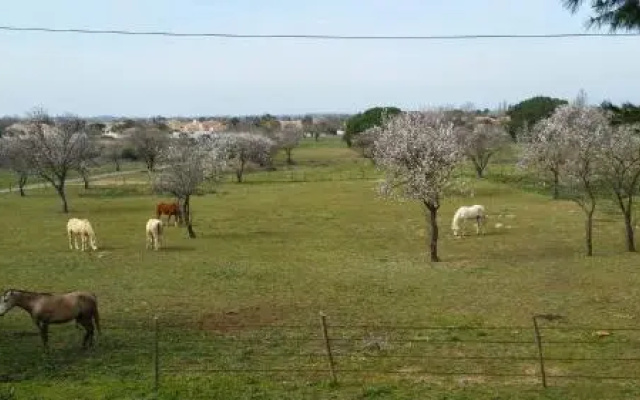 Le Gite de la Prunette