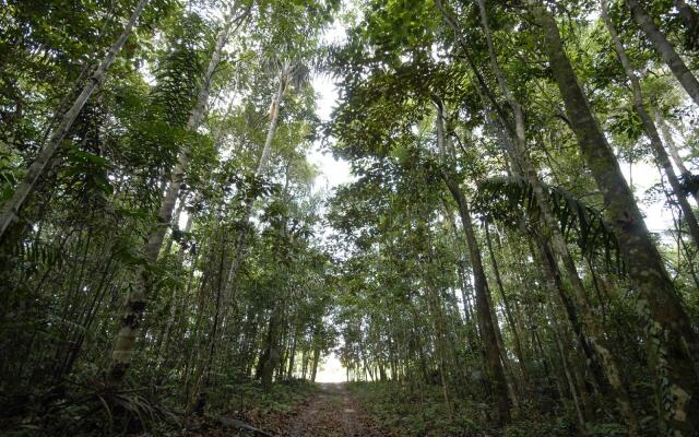Amazonia Golf Resort