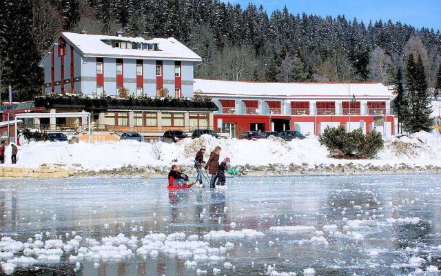 Hôtel Bellevue Le Rocheray
