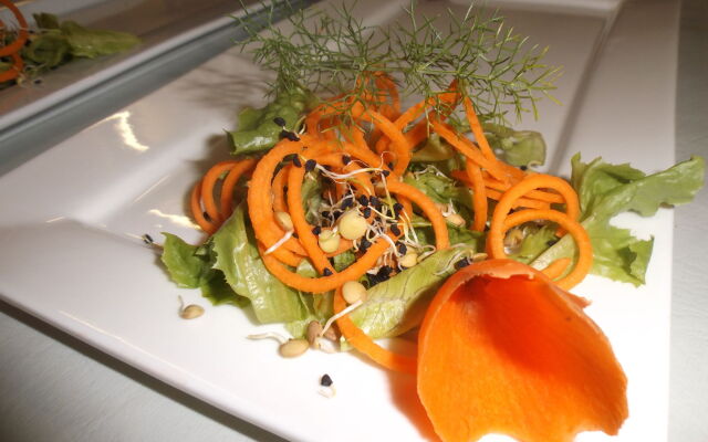 Old Mill Lodge, Working Ostrich Farm & Restaurant, Oudtshoorn