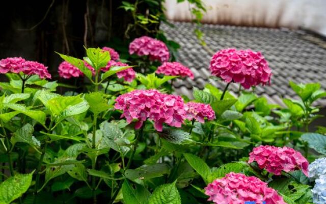 Floral Hotel·Yicheng Yijia Hotel(Dongda store of Zhangjiajie National Forest Park)