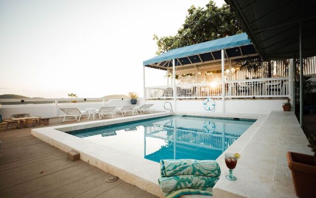 At Home in the Tropics