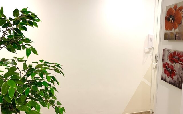 PERLE Studio